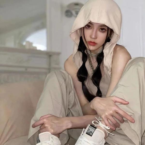 燕子盗